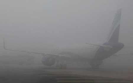 Dense Fog Disrupts Delhi Airport: 61 Flights Cancelled, 5 Diverted