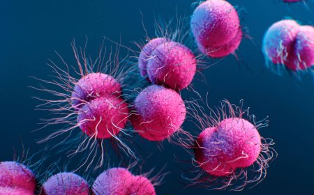 Breakthrough Oral Antibiotics Offer Hope Against Drug‑Resistant Gonorrhoea