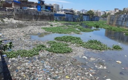 Can Mumbai Finally Clean the Mithi? Big-Budget River Revival Faces Ground-Level Reality Check