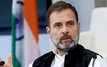 Berlin Remarks Spark Row: BJP Says Rahul Gandhi Is Pushing Anarchy