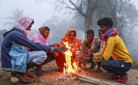 IMD Issues Alerts as North India Braces for Cold Wave and Dense Fog