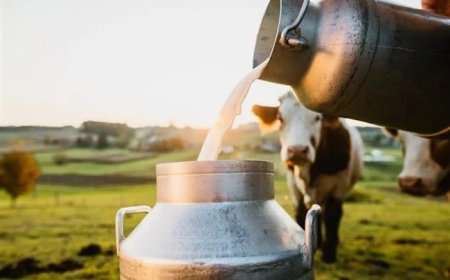 Tight Milk Supply Ahead: India’s Dairy Sector Gears Up for 2026 Demand Surge