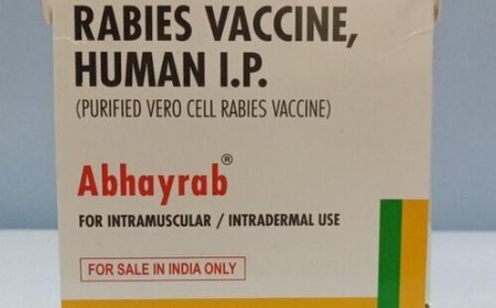 Fake Rabies Vaccination in India: Abhayrab Counterfeit Vaccine Controversy