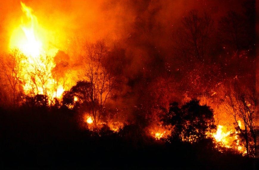 “Tragedy and Destruction: Australia’s Early Bushfire Season Claims 1 Life, 40 Homes”