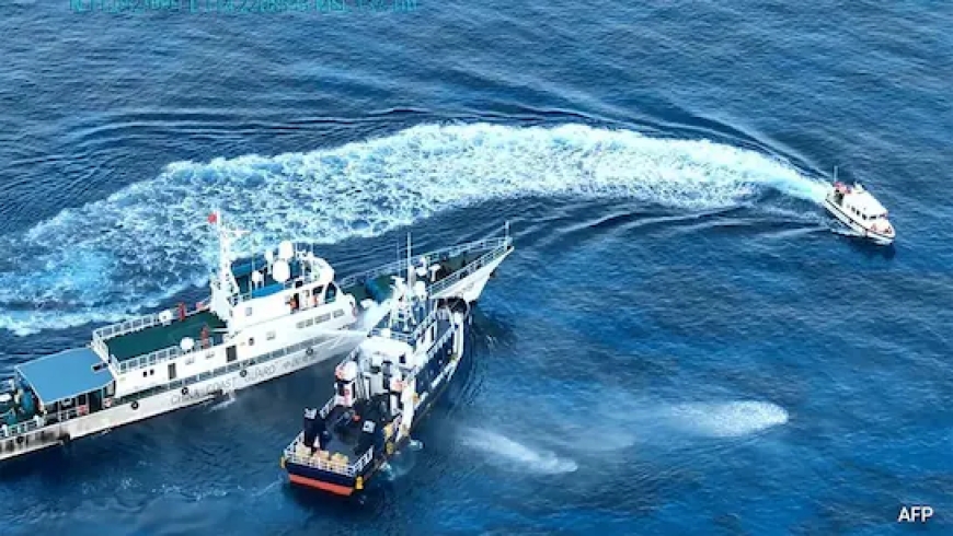 Commercial Deep-Sea Mining: A Looming Threat to Marine Life and Ecosystems