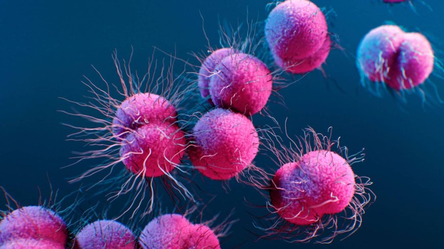Breakthrough Oral Antibiotics Offer Hope Against Drug‑Resistant Gonorrhoea