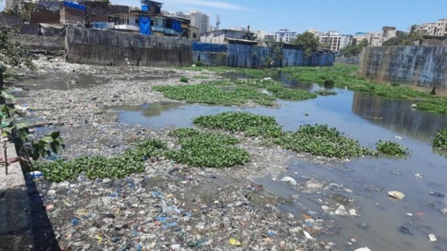Can Mumbai Finally Clean the Mithi? Big-Budget River Revival Faces Ground-Level Reality Check