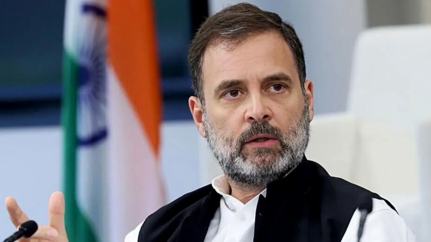 Berlin Remarks Spark Row: BJP Says Rahul Gandhi Is Pushing Anarchy