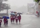 Winter Grip Tightens: IMD Issues Fog and Rain Alert Across Northern India