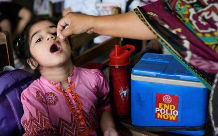 “Polio Plunge: Pakistan Cuts Cases by Half in 2025 Amid Tough Fight”