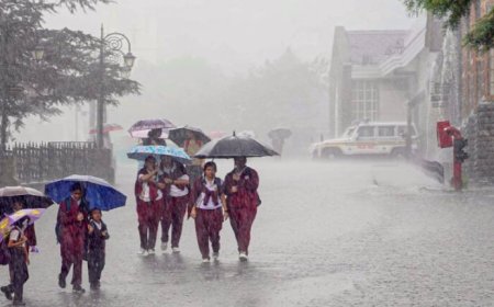 Winter Grip Tightens: IMD Issues Fog and Rain Alert Across Northern India