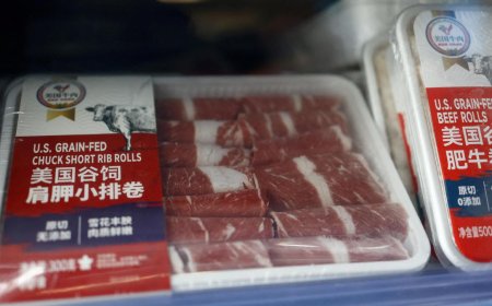 Australia Voices Disappointment as China Slaps Steep Beef Tariffs, Risking $1B Trade"