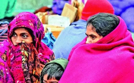 AIIMS Tells HC It Will Build 3,000-Bed Rest House, Offers Land for 80 Tents via DUSIB