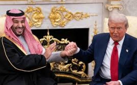 Seven More Nations Agree to Join Trump’s Board of Peace Initiative