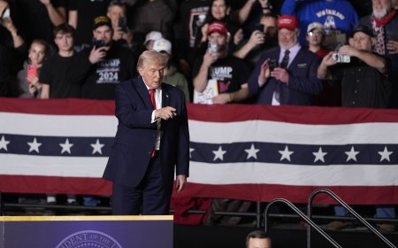 Republicans Criticise Immigration Force but Steer Clear of Trump Attacks