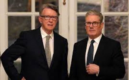 “MPs Support Release of Mandelson Files After Labour Backlash Triggers U-Turn”