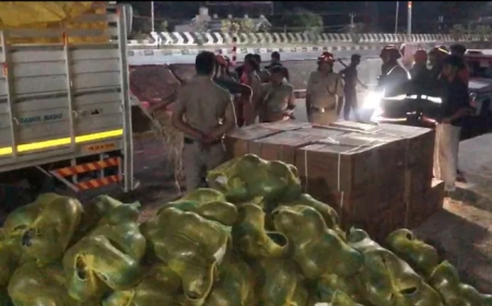 Watermelons and Weapons: Concealed Consignment Seized on Kerala Highway