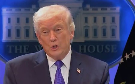 Trump Criticises Supreme Court Justices Over Tariff Decision