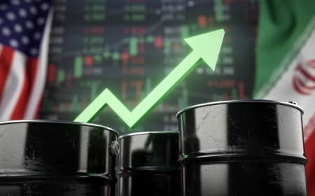 Oil Prices Hit $100 a Barrel Despite Global Deal to Release Record Reserves