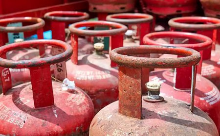 Government Raises LPG Prices to Support Oil Firms, Rules Out Petrol & Diesel Hike