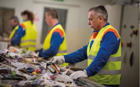 England Launches Major Recycling Reform to Standardize Waste Collection Nationwide