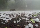 Orange alert as cloudy skies and gusty winds hit Delhi NCR with possible hailstorms