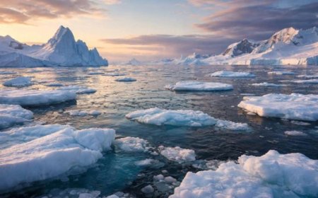 Arctic Sea Ice Hits Record Low This Winter as Heatwaves Break Records