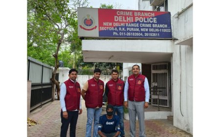 Delhi Crime Branch Busts Southeast Delhi Gang, Kingpin Arrested