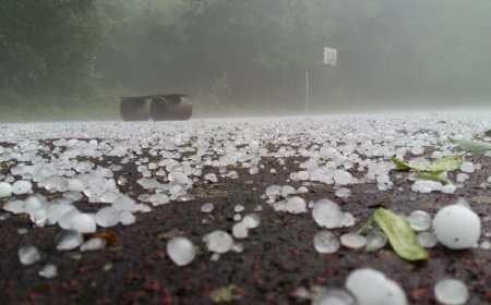Orange alert as cloudy skies and gusty winds hit Delhi NCR with possible hailstorms