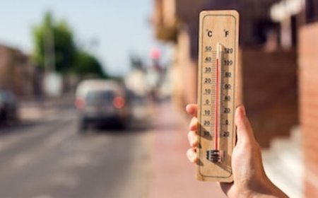 IMD Predicts Rising Temperatures as Delhi May Touch 41°C in Coming Days