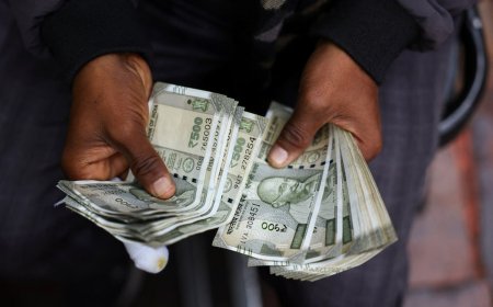 Domestic Investors Cushion Indian Markets as Foreign Funds Retreat