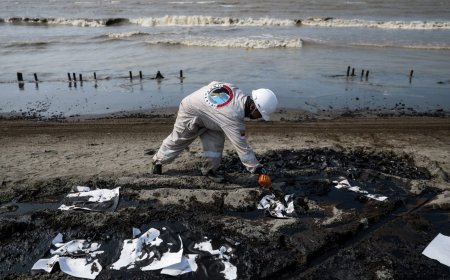 Oceans in Crisis: Rising Temperatures Threaten Marine Life Worldwide