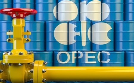 UAE Signals Exit from OPEC, Shaking Global Oil Power Balance