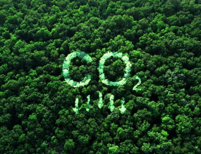 India’s Forest Carbon May Nearly Double by 2100, But Climate Stress Could Weaken Ecosystems