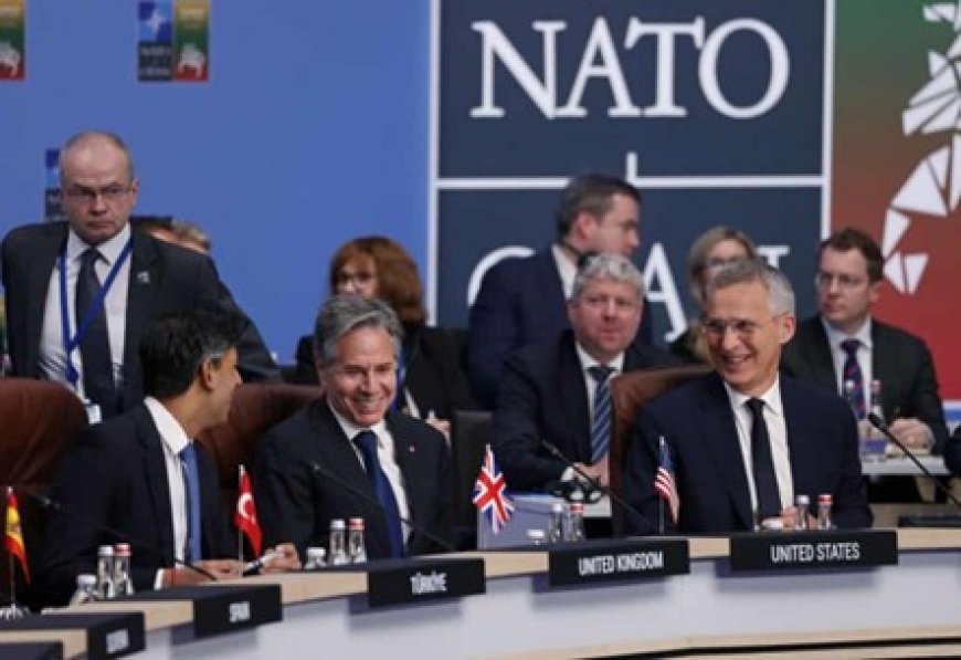 Divided We Stand? NATO Grapples with Growing Internal Disagreements: