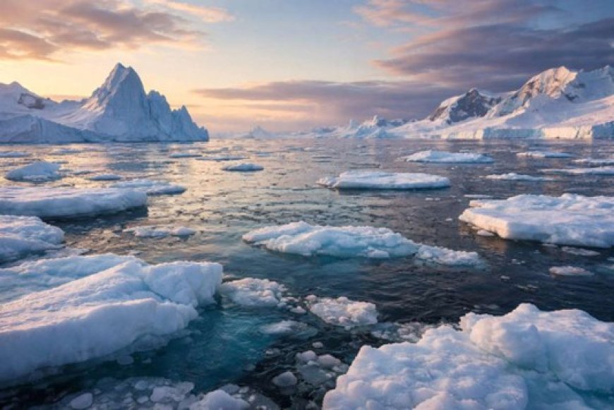 Arctic Sea Ice Hits Record Low This Winter as Heatwaves Break Records