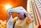 Delhi-NCR Braces for Intense Heatwave as Temperatures Likely to Touch 45°C