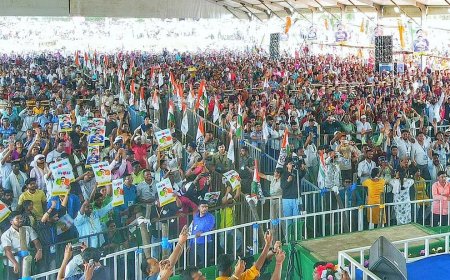 Election Results 2026 Live: BJP Near Majority in Bengal Trends, Leading on 144 Seats; TMC Slows After Crossing 100