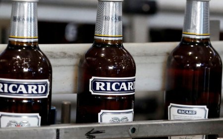 Big Trouble for Pernod Ricard! India Opens Competition Probe Over Retail Deals