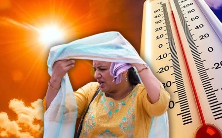 Delhi-NCR Braces for Intense Heatwave as Temperatures Likely to Touch 45°C
