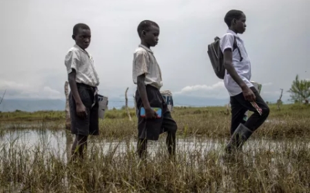 WHO Sounds Global Alarm as Ebola Outbreak in Congo and Uganda Triggers International Health Emergency