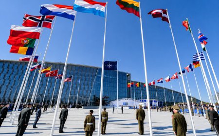 US Reassesses NATO Commitments as Plans Emerge to Reduce Crisis-Response Forces