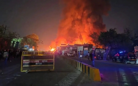Fire Erupts in Delhi Furniture Hub, Thick Smoke and Chaos Grip Shastri Market