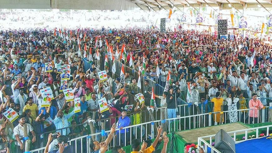 Election Results 2026 Live: BJP Near Majority in Bengal Trends, Leading on 144 Seats; TMC Slows After Crossing 100