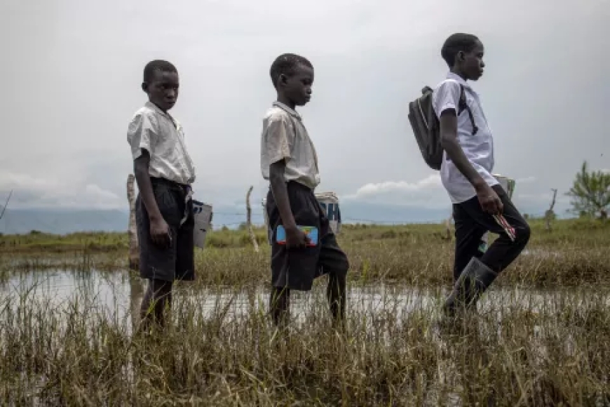 WHO Sounds Global Alarm as Ebola Outbreak in Congo and Uganda Triggers International Health Emergency