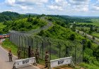 Tension Rises Along Meghalaya-Bangladesh Border as Intruder Gets Stuck in Fence; BSF Intensifies Vigil