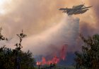 Europe Enters a New Era of Mega Fires as Wildfires Burn with ‘Atomic Bomb’ Intensity