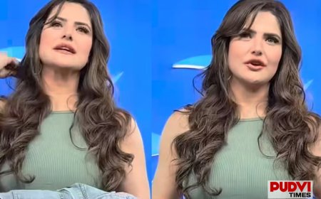 "Stay Within Your Limits": Zareen Khan Slams Paparazzi Over Inappropriate Dress Comment, Video Goes Viral