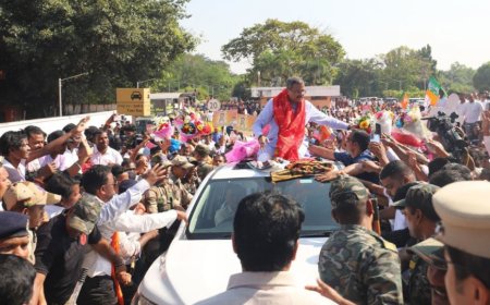 NDA MPs Welcome Dharmendra Pradhan Outside Parliament After Resignation, Felicitate Him with Traditional Pag