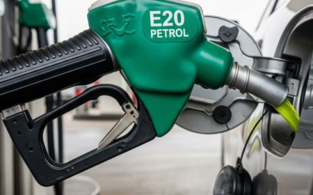 What Is the E20 Janata Party? Why Is Social Media Buzzing Over the Demand for 100% Petrol? Explained